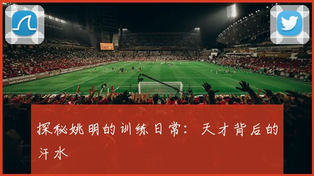 探秘姚明的训练日常：天才背后的汗水