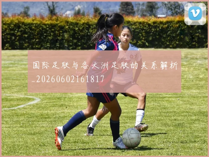 国际足联与各大洲足联的关系解析_20260602161817